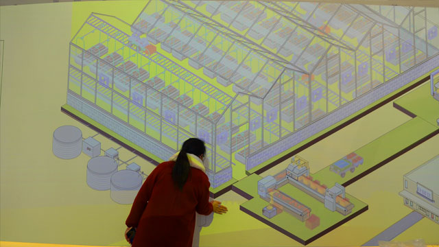 现代化农业种植大棚墙面互动投影